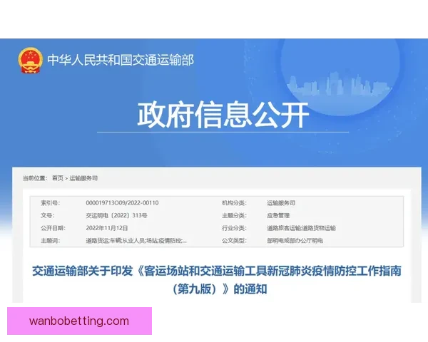 世界杯买球全攻略：技巧分析与风险防控全面指南
